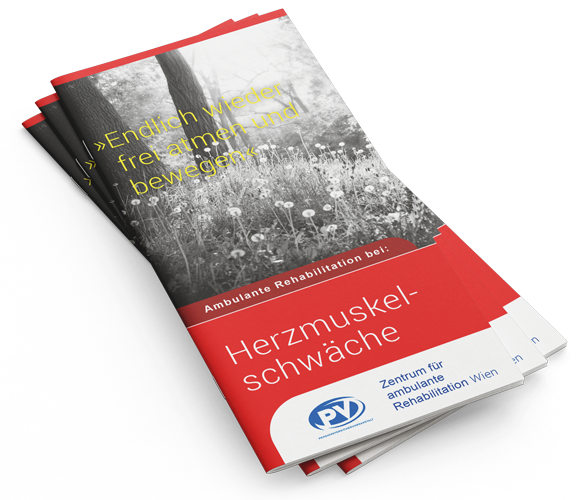 Folder Herzmuskelschwäche
